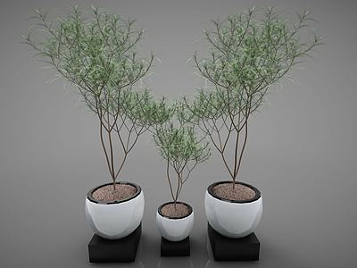 绿植盆栽3d模型3d模型