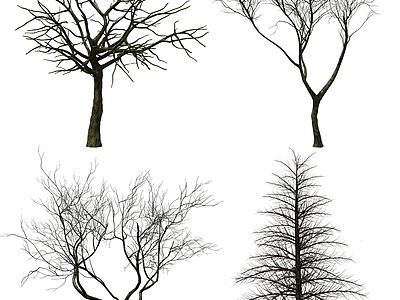 现代树木枯树3d模型3d模型