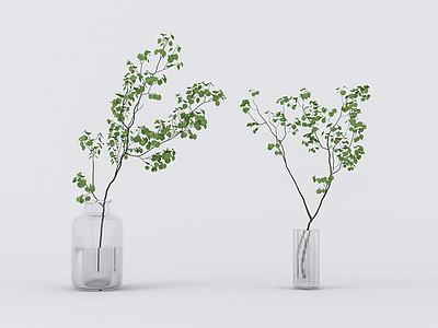日式水生植物3d模型3d模型