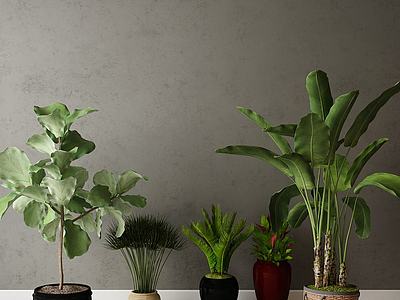 现代装饰植物3d模型3d模型