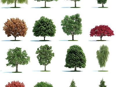 装饰植物树3d模型3d模型