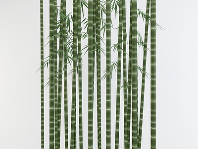 竹子竹竿植物盆栽3d模型3d模型