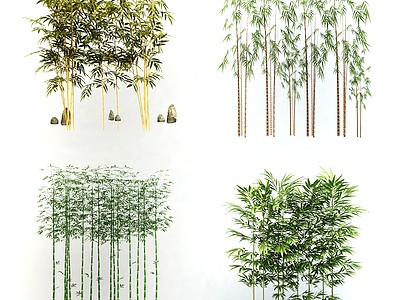 竹子植物盆栽组合3d模型3d模型