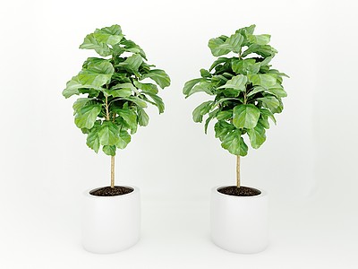 植物绿植3d模型3d模型