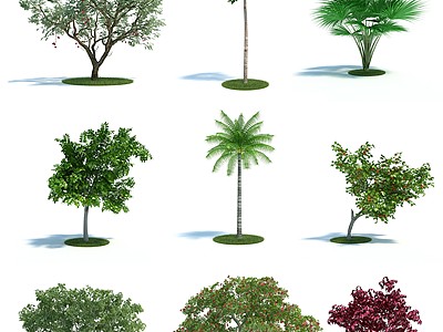 现代园林植物树3d模型3d模型