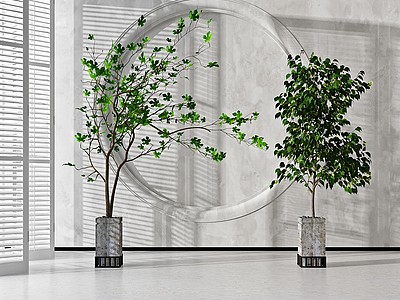 现代植物盆栽组合模型3d模型