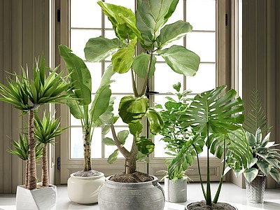 现代植物盆栽现代饰品摆件模型3d模型