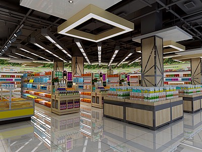 现代超市超市百货货架冰柜3d模型