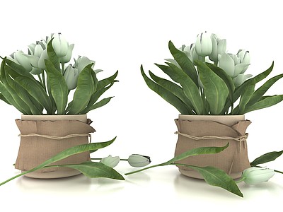 现代风格植物花盆3d模型3d模型