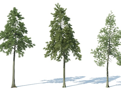 现代树木花树果树模型3d模型