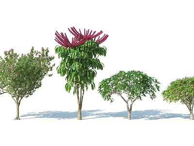 现代树木花树红花树模型3d模型