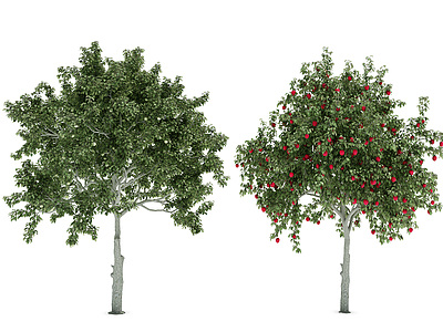 园林景观植物树模型3d模型