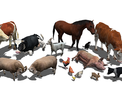 3d牛羊猪狗鸡养家禽动物组合模型