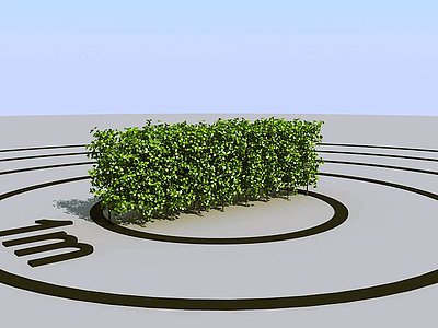 3d现代景观植物模型
