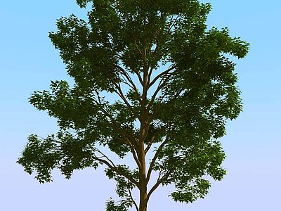 现代景观树矮树模型3d模型