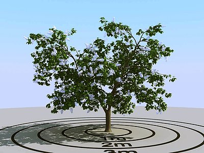 现代景观树模型3d模型