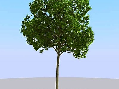 3d<font class='myIsRed'>现代景观植物树</font>模型