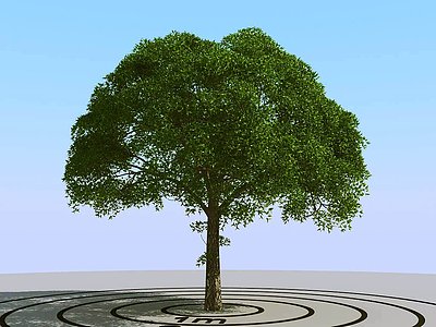现代景观树模型3d模型