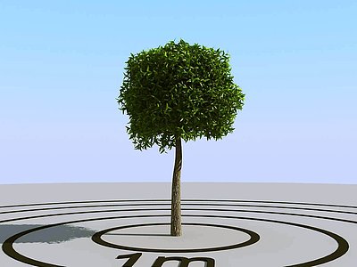 3d现代景观树树球模型