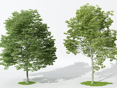 3d<font class='myIsRed'>景观</font>植物树模型