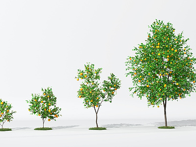 3d树橘子树模型