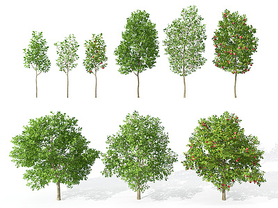 景观植物树模型3d模型