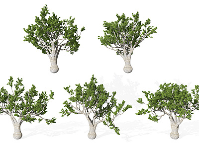 3d<font class='myIsRed'>景观</font>植物松树模型