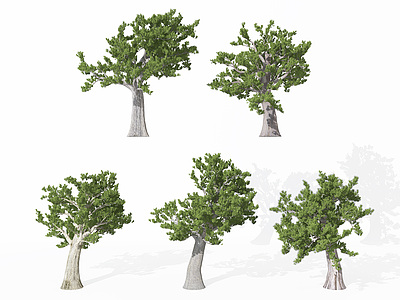 3d景观植物松树模型