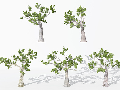 现代园林景观植物松树模型3d模型