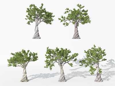 现代园林景观植物松树模型3d模型