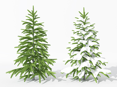 景观植物树松柏树针叶植物模型3d模型