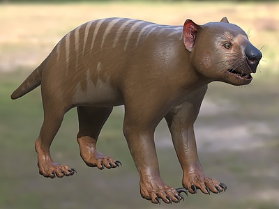 3d刽子手袋狮食肉哺乳动物模型