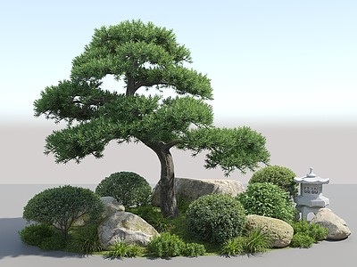 3d景观树松树模型
