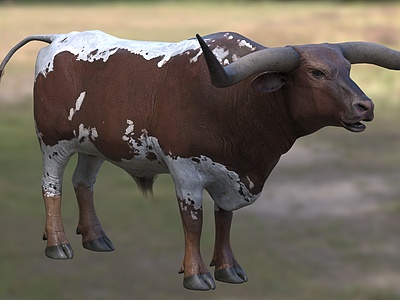德克萨斯德州长角牛模型3d模型