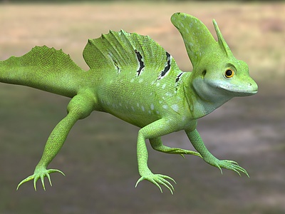 双冠蜥背鳍蜥属动物模型3d模型