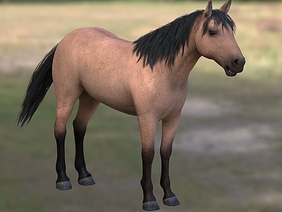 3d家马野马匹动物模型