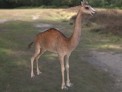 3d长颈鹿骆驼古骆驼高驼动物模型