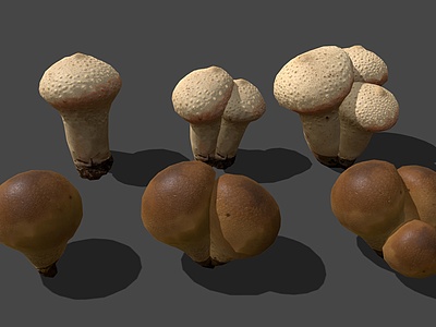 3d现代野生蘑菇模型