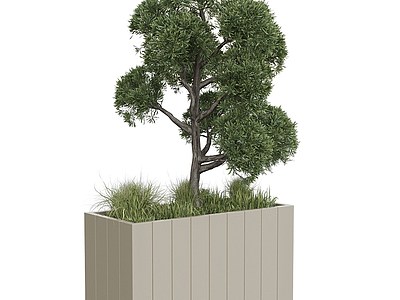 3d室外盆栽模型