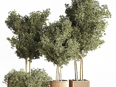 3d植物花钵模型