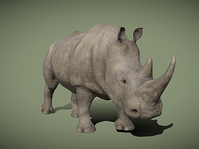 3d犀牛爬行动物热带动物模型