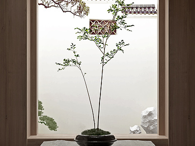 3d新中式茶壶书籍植物盆栽模型