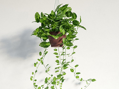 现代吊篮绿植盆栽模型