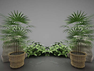 盆植模型3d模型