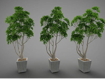 现代绿植盆栽模型