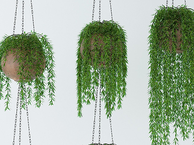 现代绿植吊篮植物3d模型