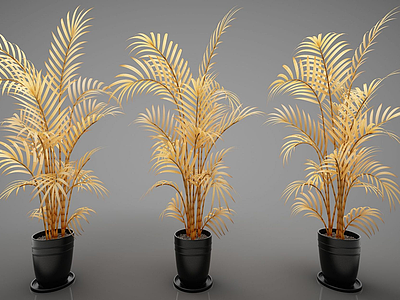 装饰植物模型3d模型