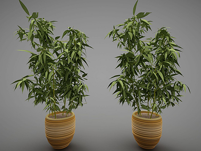 植物盆栽组合模型3d模型