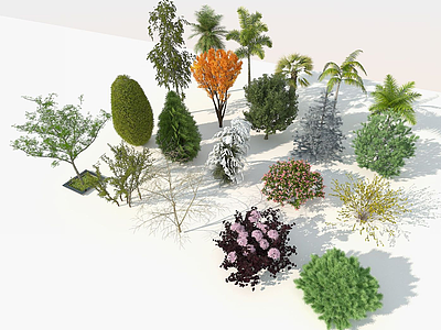 3d园林树木组合模型