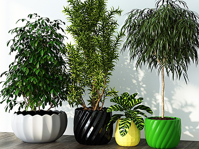 现代绿植盆栽组合3d模型